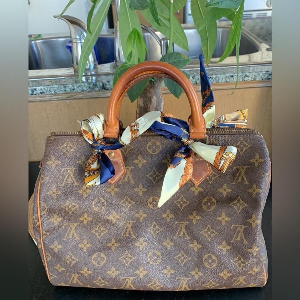 LV Speedy 30 Authentic